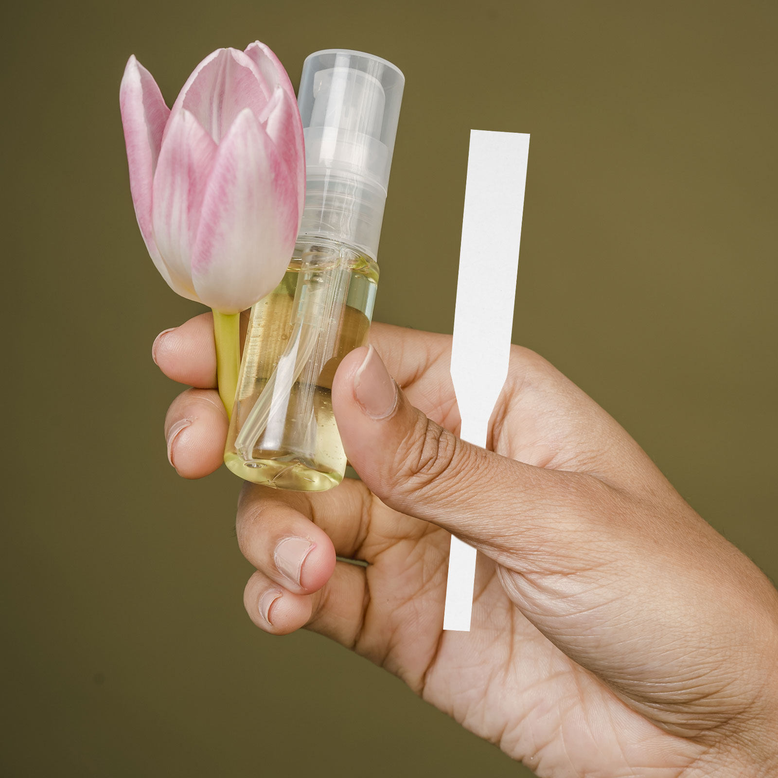 Shop Home Fragrance - 100 Adet Parfüm Test Şeritleri Koku