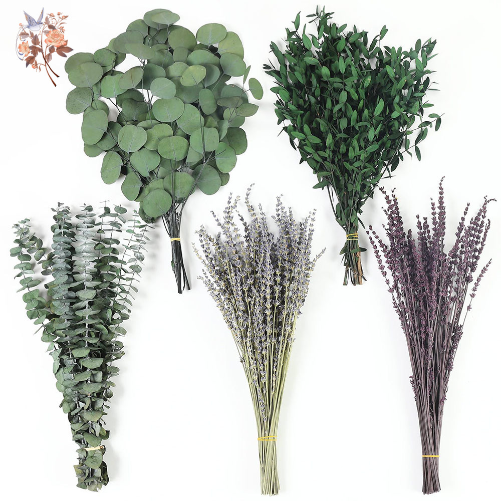 Home Fragrance Fillers - 110 Adet Karışık Kurutulmuş Okaliptüs Yaprakları