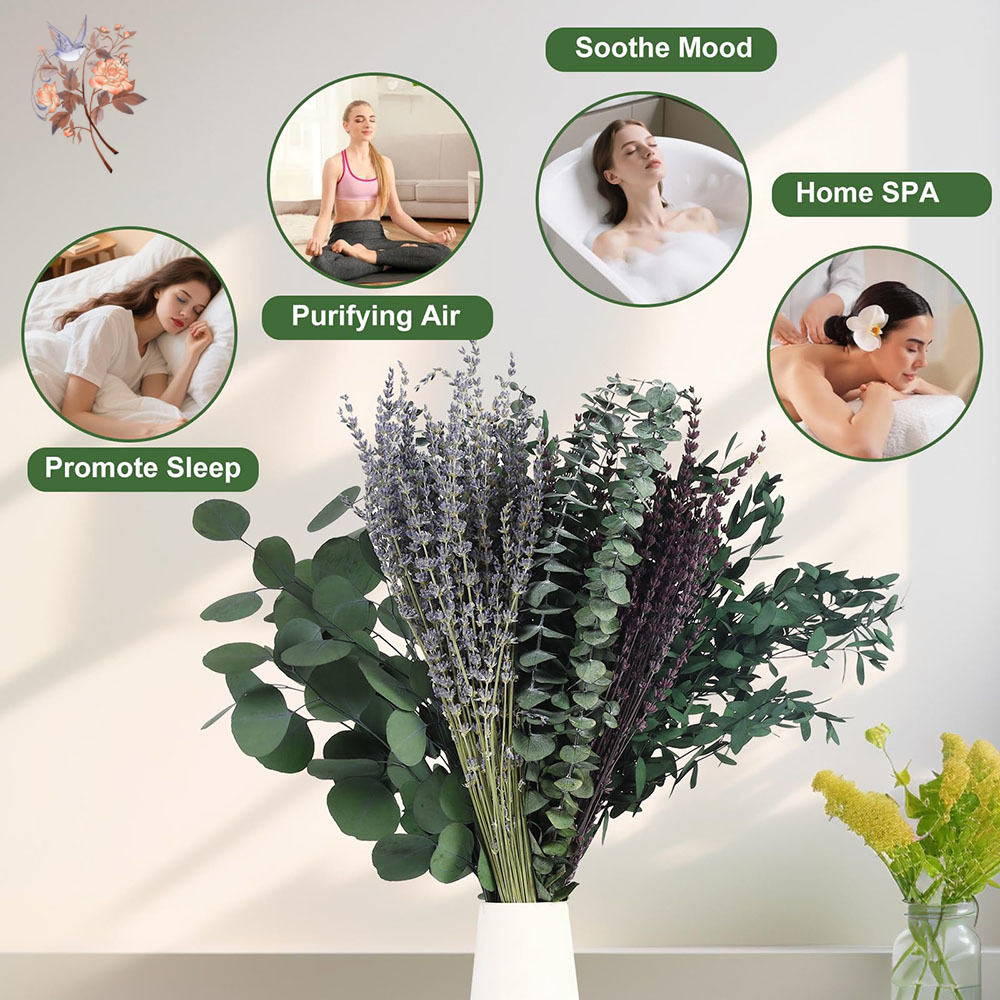 110 Adet Karışık Kurutulmuş Ok - Home Fragrance Fillers incelemesi ve fiyatı